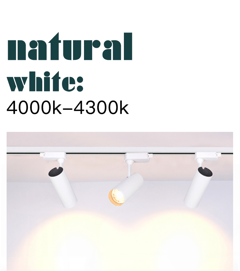 LED tracking light(图2)