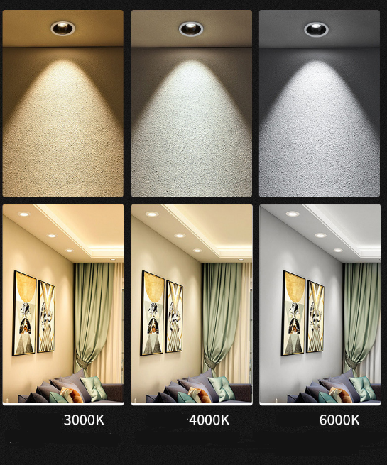 LED down light(图6)